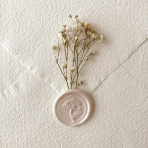 flor preservada paniculata blanca