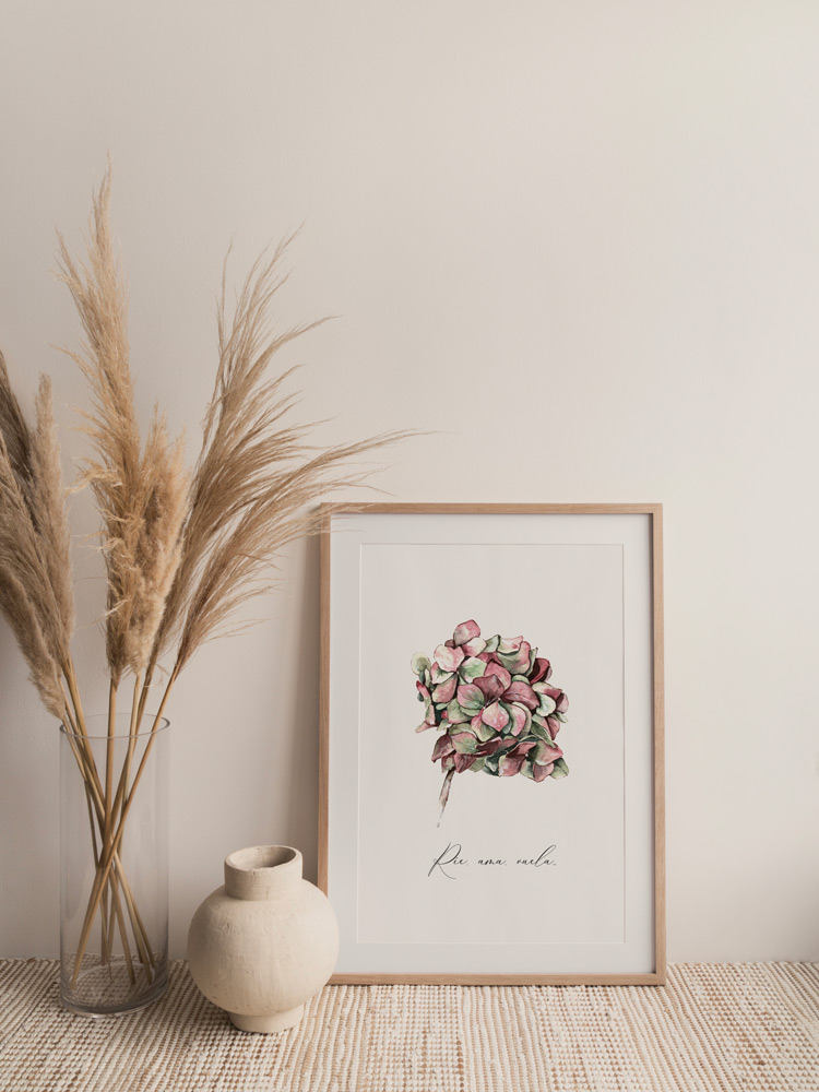 lámina decorativa hortensia